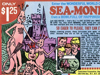 seamonkeys