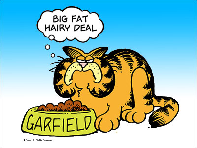 garfield07