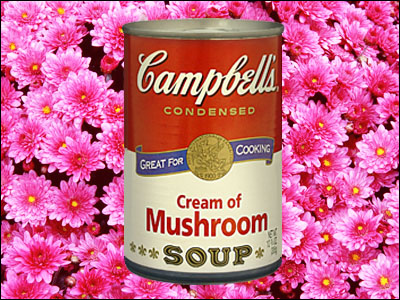 mushroomsoup198